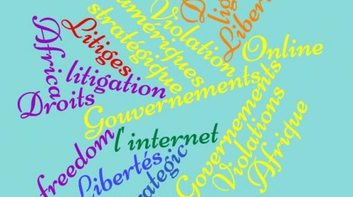 Litige stratégique des droits numériques : poursuivre les gouvernements lorsque les libertés en ligne sont violées